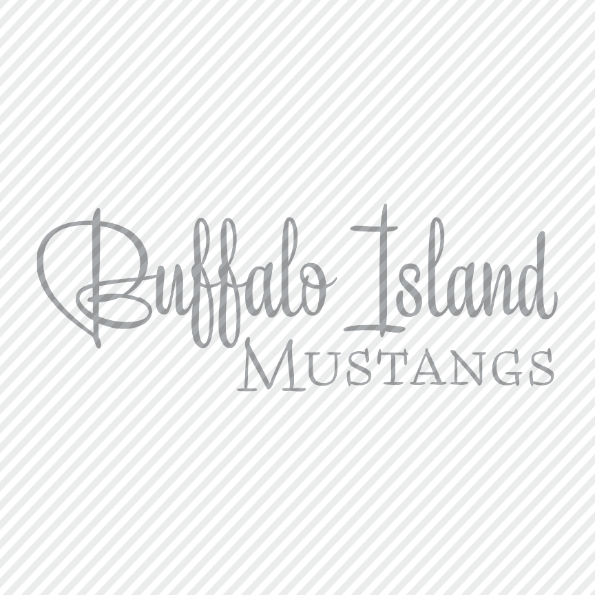 Buffalo Island Mustangs