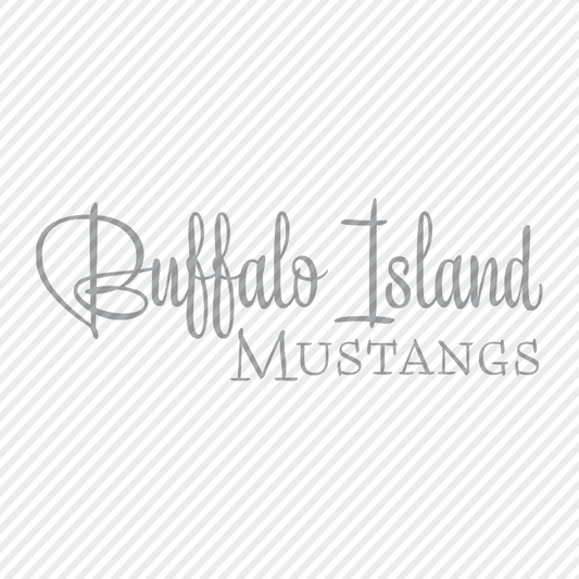 Buffalo Island Mustangs