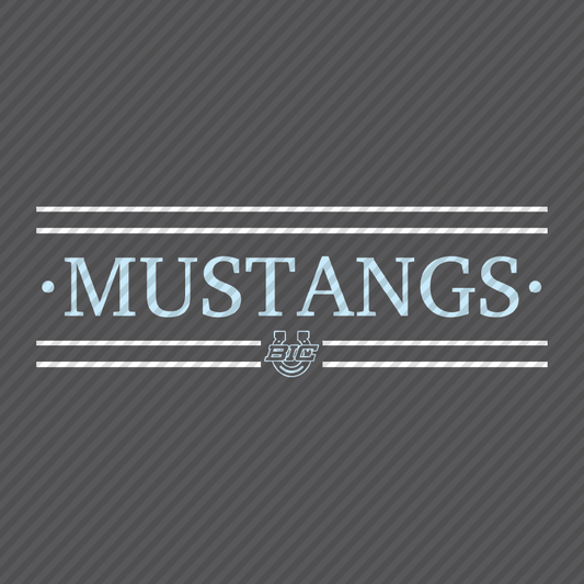 Mustangs BIC horseshoe