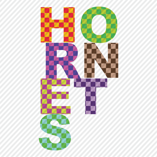 Fun Checks - Hornets