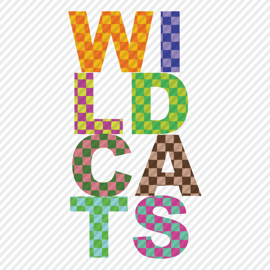 Fun Checks - Wildcats