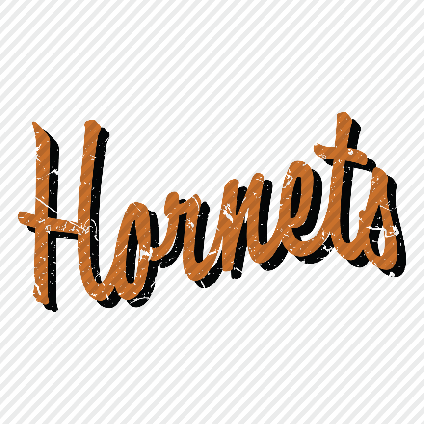 Hornets with Shadow (plain & distressed)