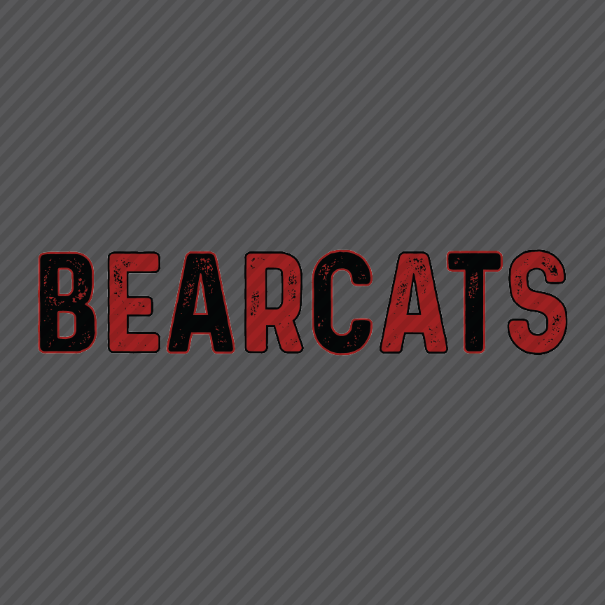 2 Tone Grunge - Bearcats