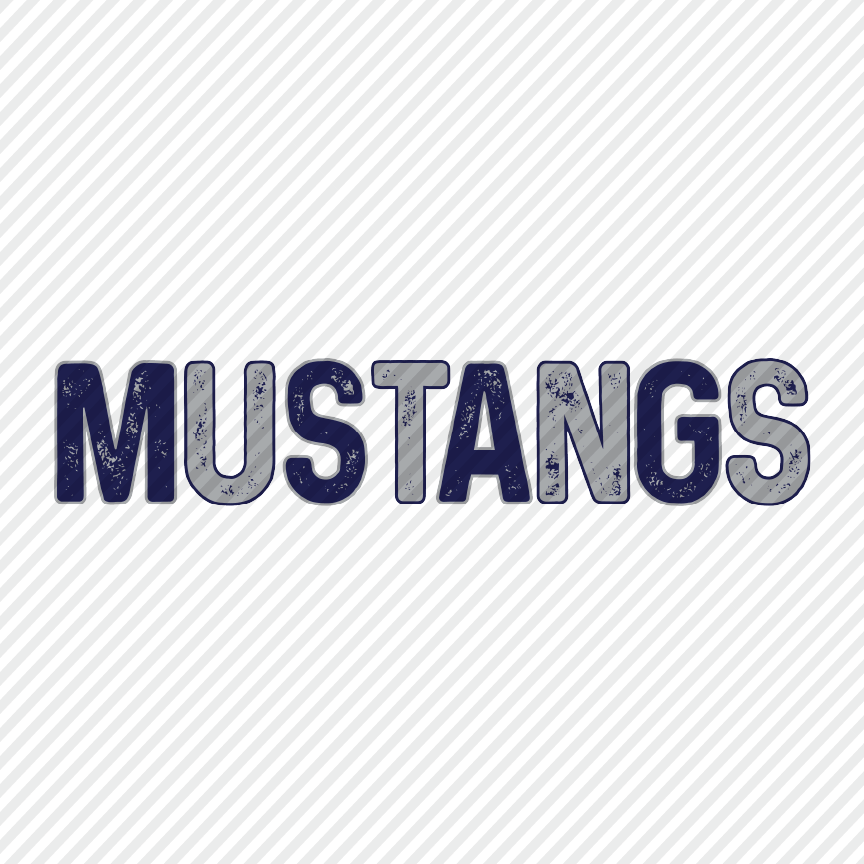 2 Tone Grunge - Mustangs