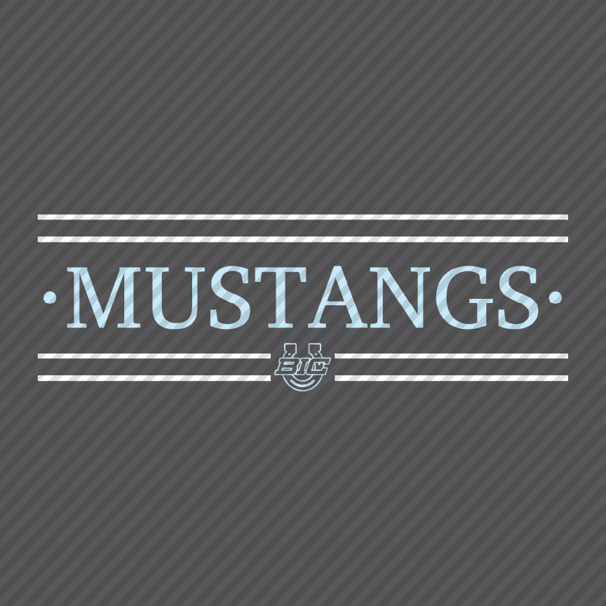 Mustangs BIC horseshoe