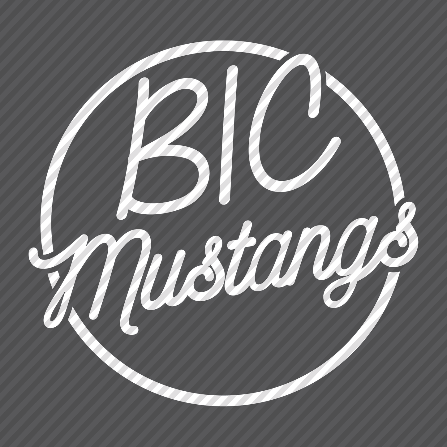 BIC Mustangs graphic