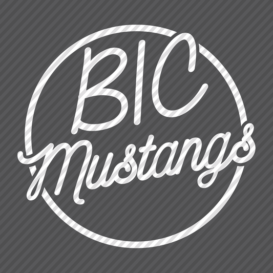 BIC Mustangs graphic