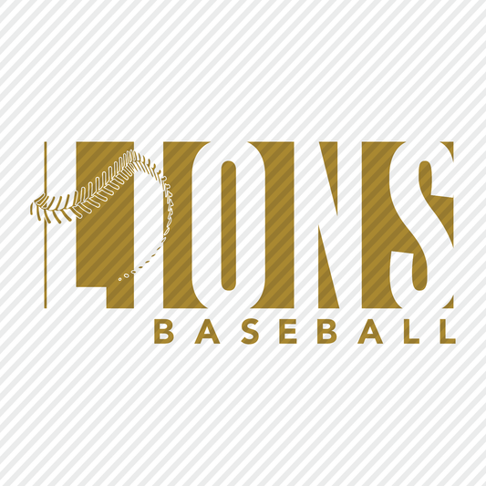 Lions Baseball block