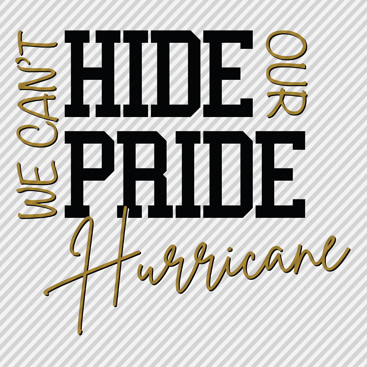 Can't Hide That Pride - Hurricane