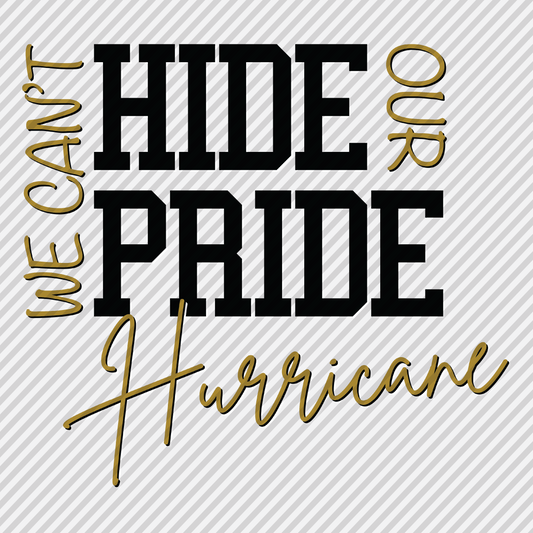 Can't Hide That Pride - Hurricane