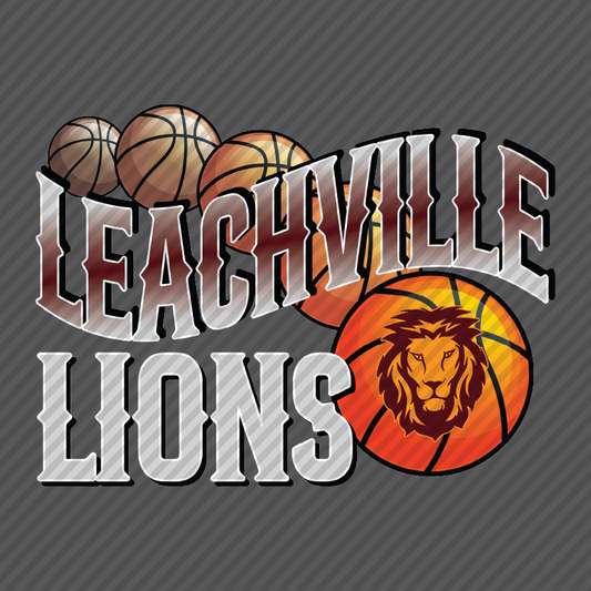 Leachville Lions - retro