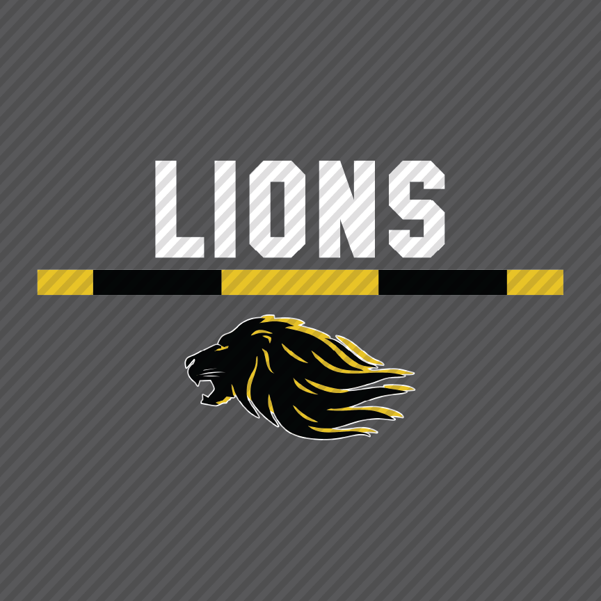 Lions  Stripe & Mascot