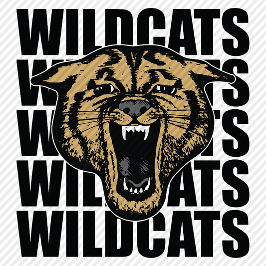 Wildcats with mascot